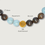 BR_F_12 BRO-AQM-Braided-Bird-View-Specs